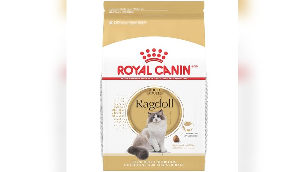 Best Wet Food for Ragdoll Cats