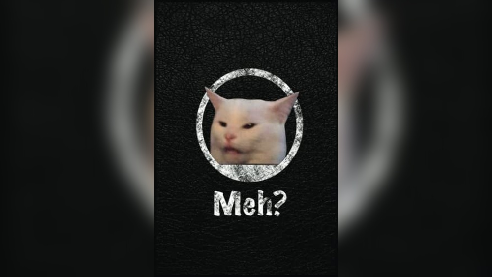 Best Woman Yelling at Cat Meme Notebooks for Cat Lovers and Humor Fans