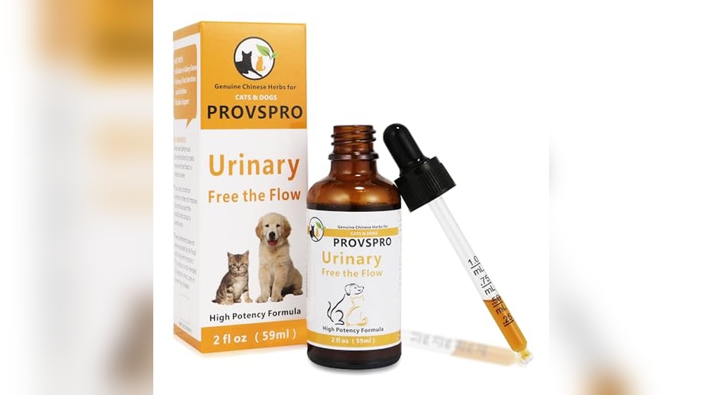 Cat Bladder Stones Best Option