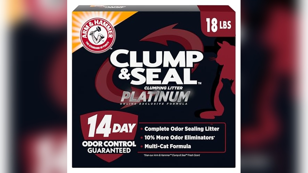 Cat Litter Best for Odor