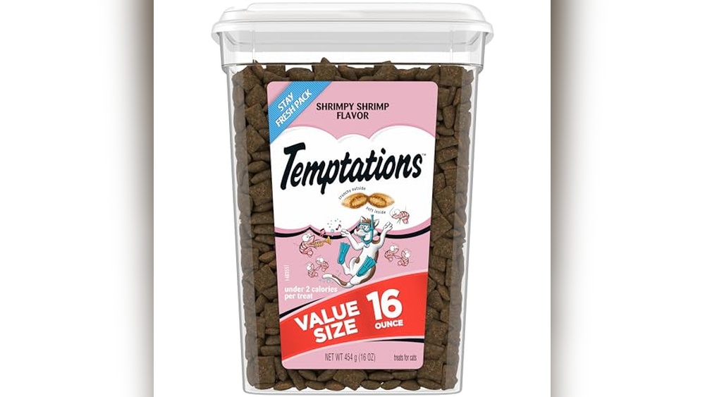 Cats are the Best Pet: Top Treats, Toys, and Essentials Reviewed