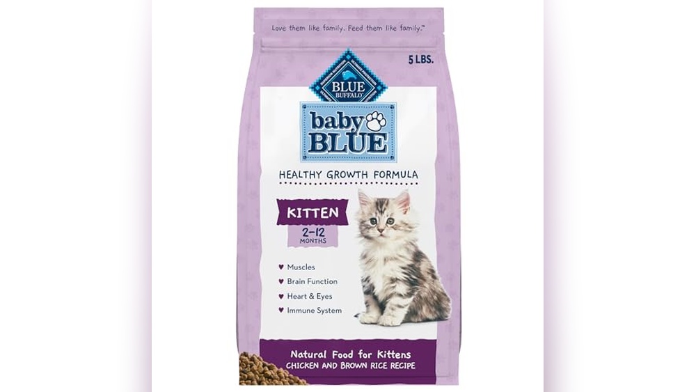 Cats Com Best Kitten Food: Top Healthy Choices for Your Growing Kitten