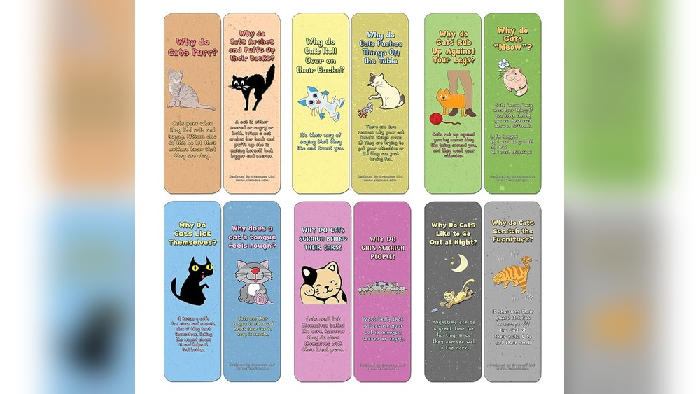 Do Cats Groom Themselves When They Feel Safe? Surprising Truths!