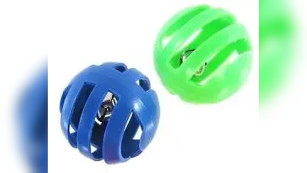 Do Guinea Pigs Like Cat Toys? Surprising Facts Revealed!
