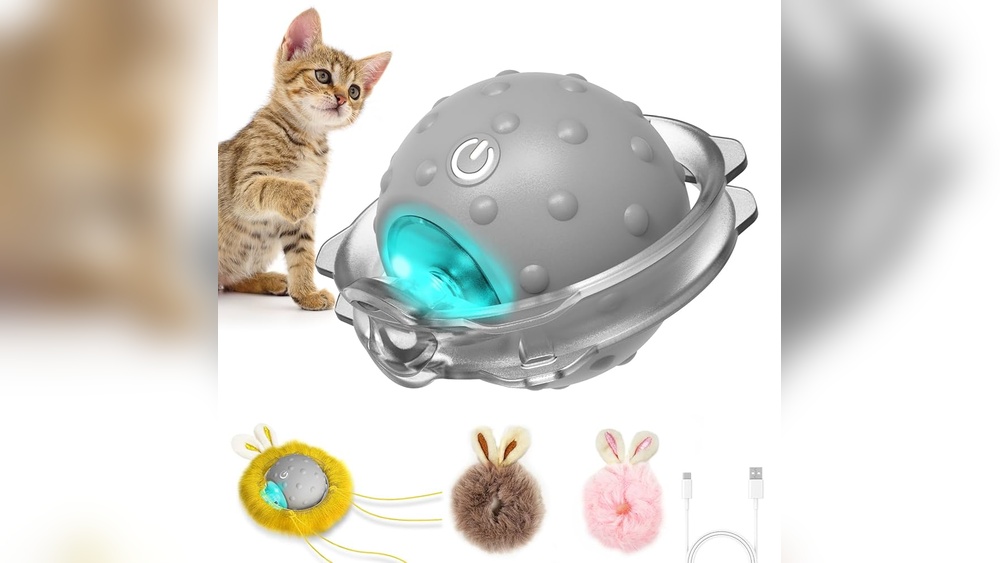 Do L E D Cat Toys Make Cats Move Faster: Surprising Benefits Revealed