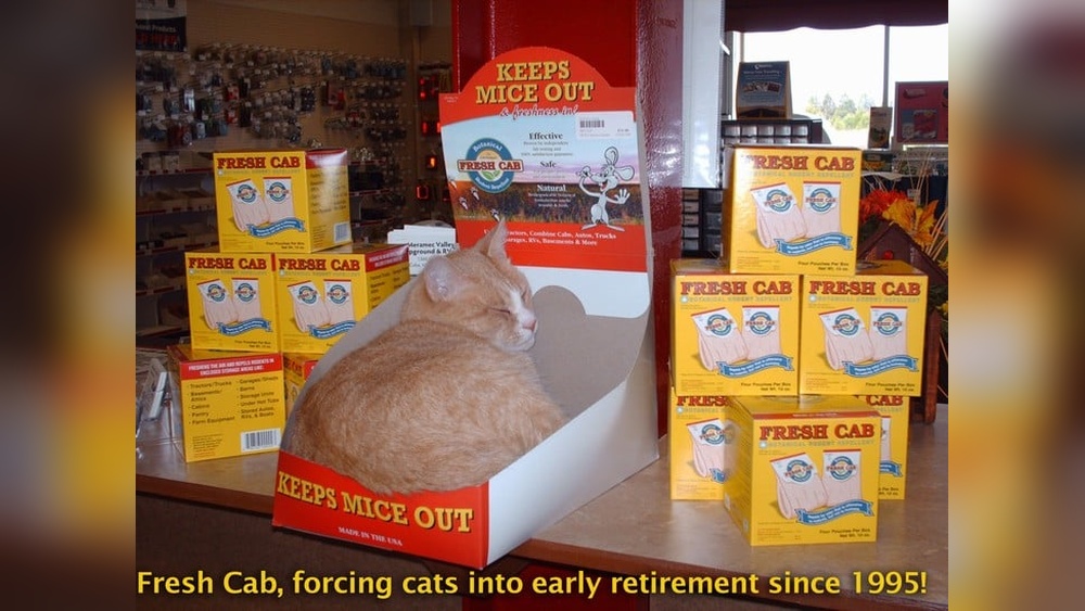 Do Toy Cats Keep Mice Away