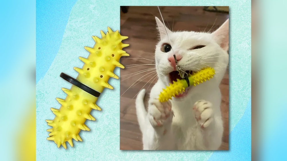 Does Cat Toothcleaner Toy Work: Truths Every Cat Owner Must Know