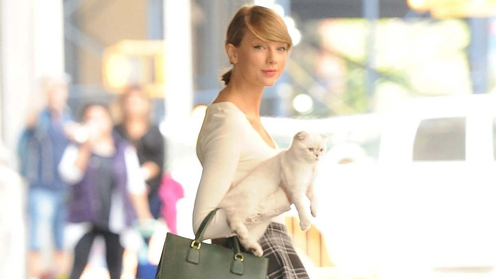 Does Taylor Swift Travel With Her Cat? Surprising Truth Revealed!