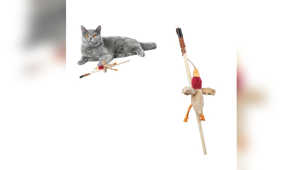 Does the Cat Pals Play Wand Cat Toy Contain Catnip? Find Out!
