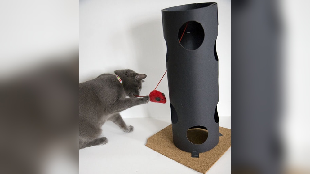 Does the Dollar Store Sell Cat Toys? Surprising Finds Revealed!