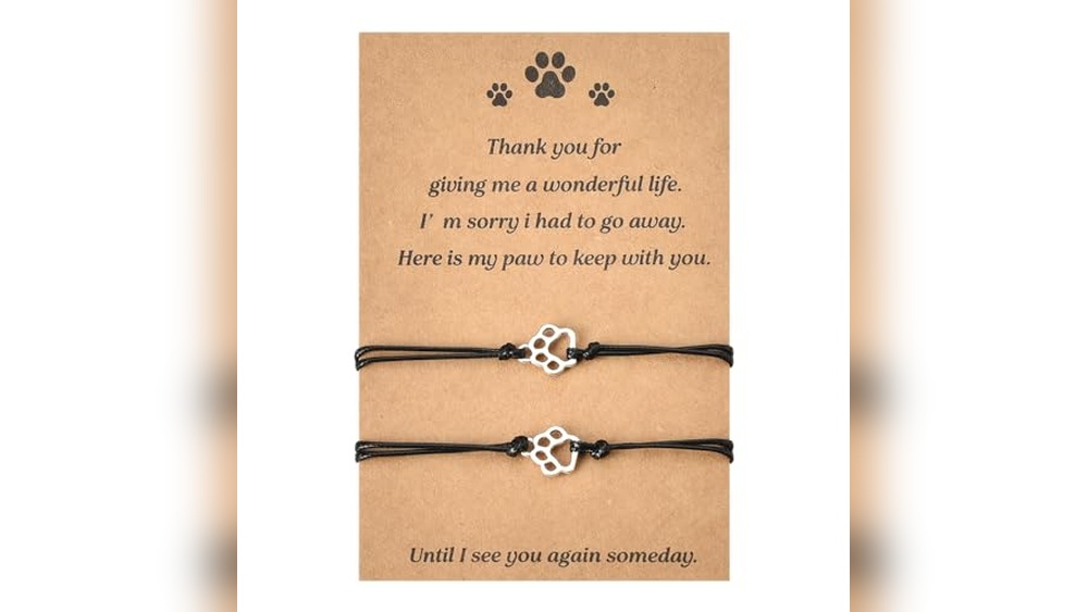 Dog And Cat Are Best Friends: Heartwarming Memorial Gifts to Cherish