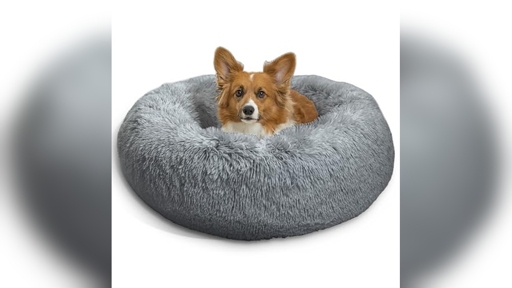 Dog&rsquo;S Best Friend And Cat&rsquo;S Meow: Top Calming Beds and Odor Eliminators