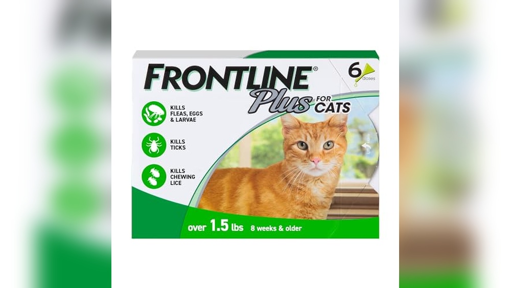 Frontline Plus for Cats 6 Pack Best Price: Ultimate Flea Protection Deal