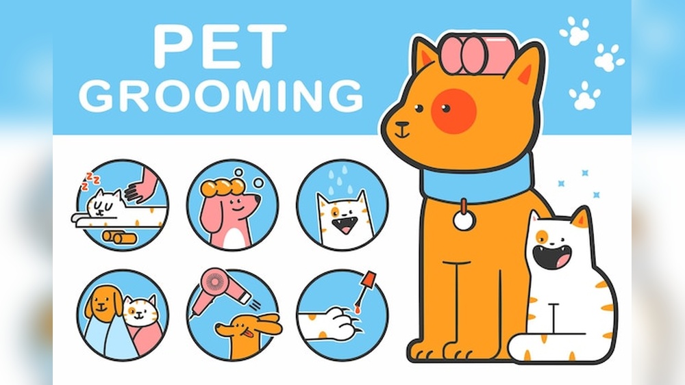 How Cute Dog/Cat Grooming: Essential Tips for Flawless Pets