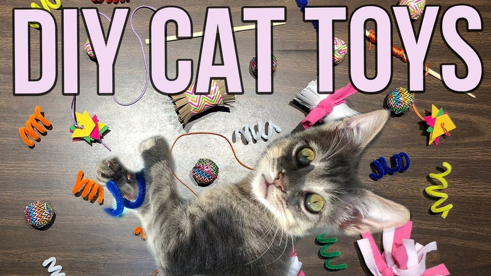 How Do You Make Toys for Cats: Easy DIY Ideas That Delight