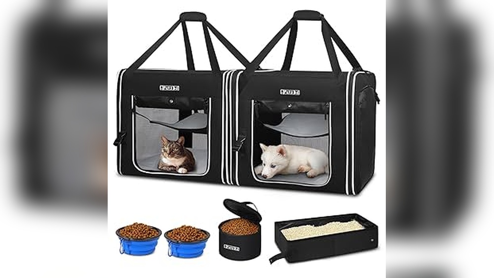 How Do You Travel Long Distance With Two Cats: Ultimate Guide