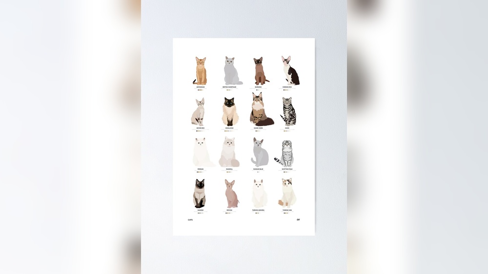 How Many Different Cat Breeds are There: Discover the Ultimate List