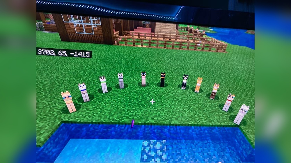 How Many Minecraft Cat Breeds are There: Ultimate Guide Revealed