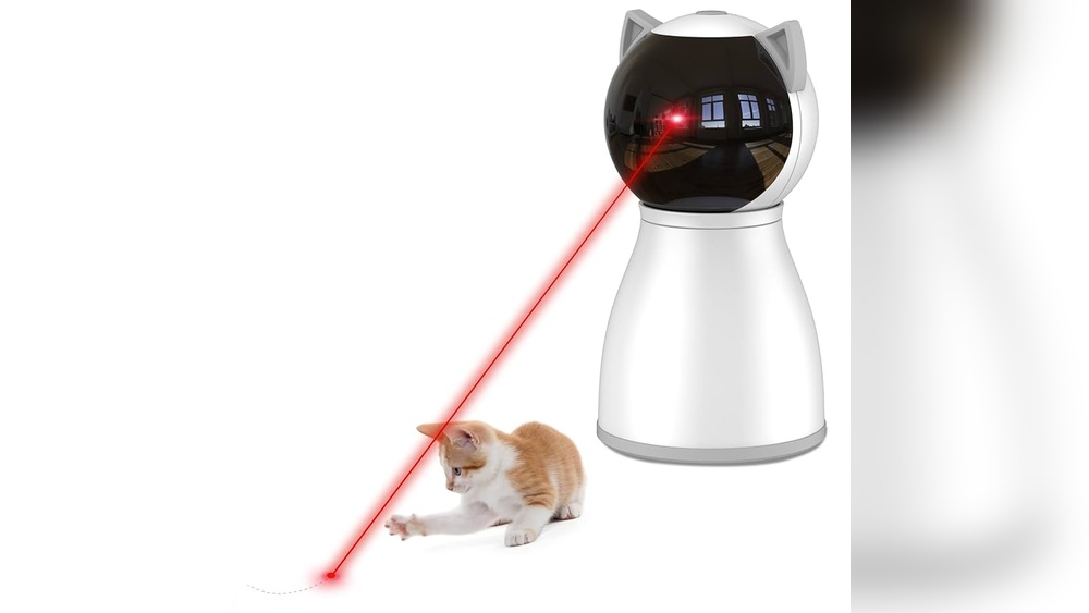 How Many Toys Per Cat Should There Be: Ultimate Guide to Happy Cats