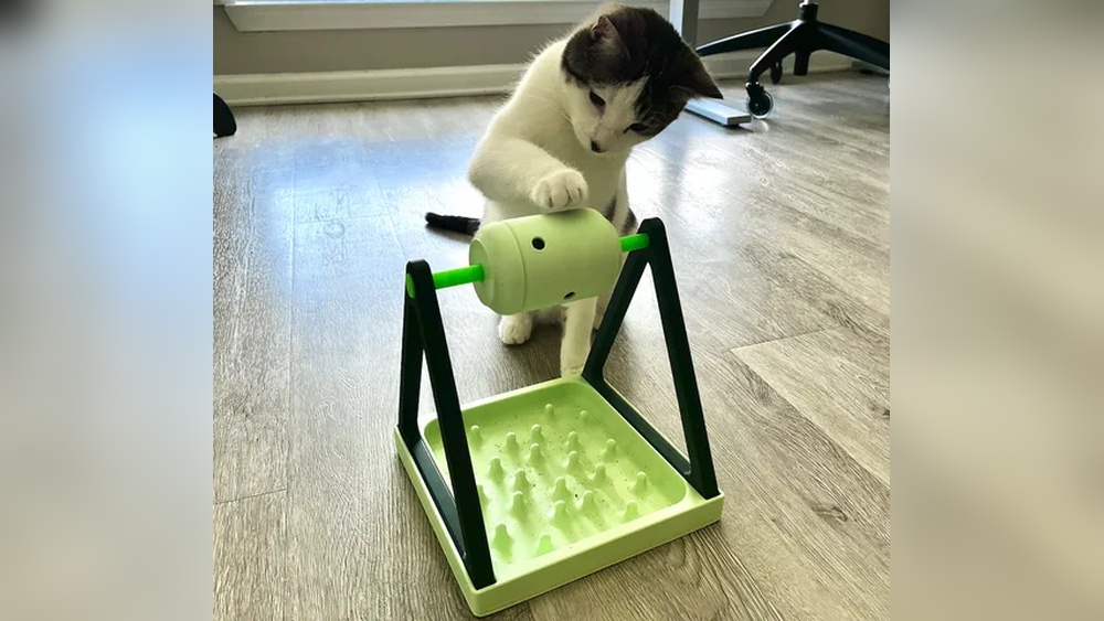 How to 3D Print a Cat Toy: Easy Steps for Fun & Durable Designs