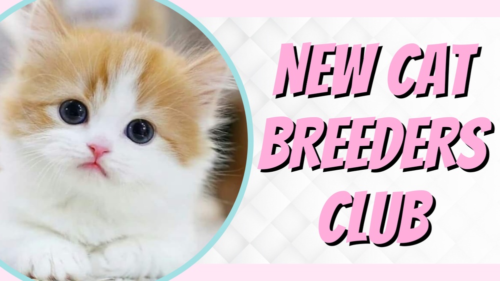 How to Become a Registered Cat Breeder: Ultimate Step-by-Step Guide