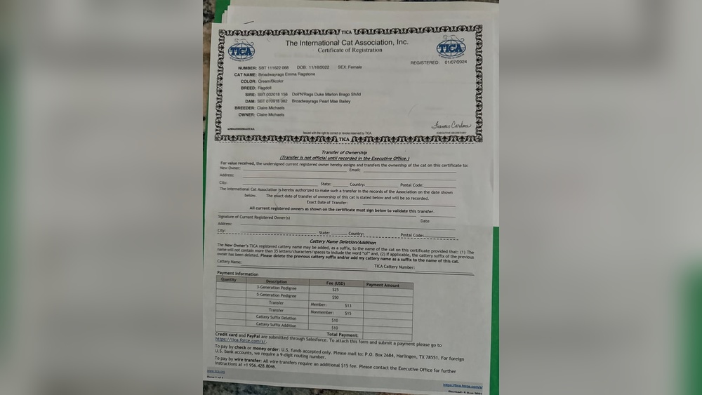 How to Check If a Cat Breeder is Registered: Expert Tips Revealed