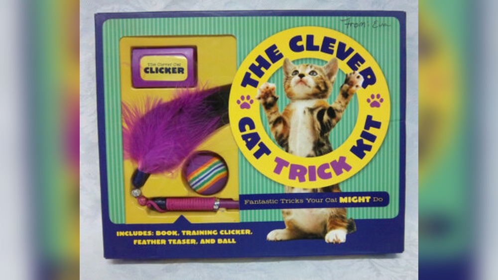 How to Do Tricks With Feather Cat Toy: Ultimate Guide for Fun