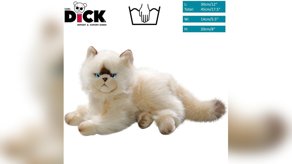 How to Export Cat Toys: Ultimate Guide to Boost Global Sales