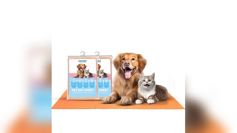 How to Get Cat Pee Off a Toy: Easy Steps for Quick Cleanup
