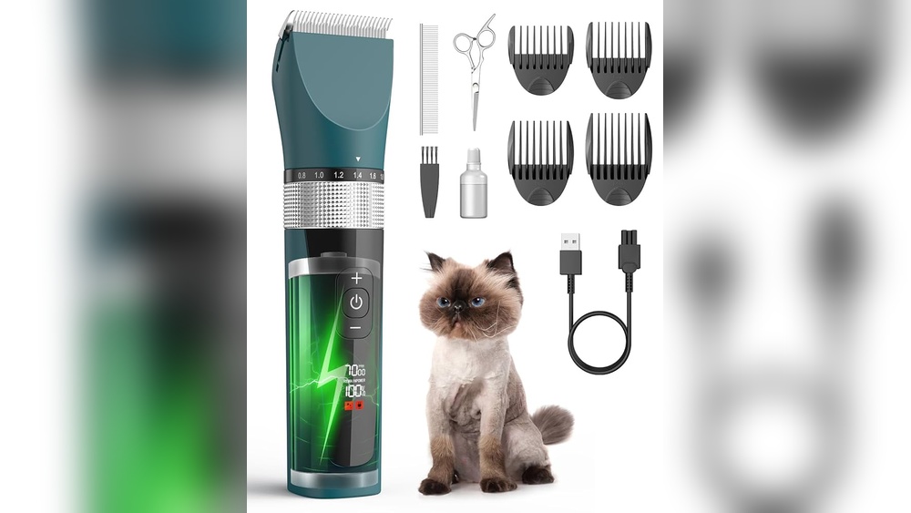 How to Groom Cat With Clippers: Expert Tips for Stress-Free Care