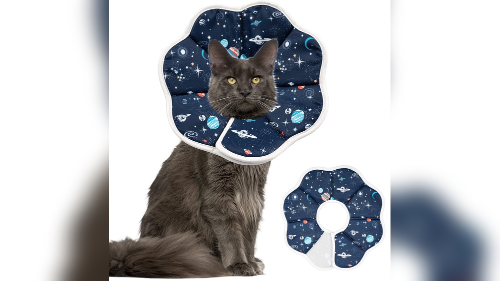 How to Groom Cat With E Collar: Easy Tips for Stress-Free Care