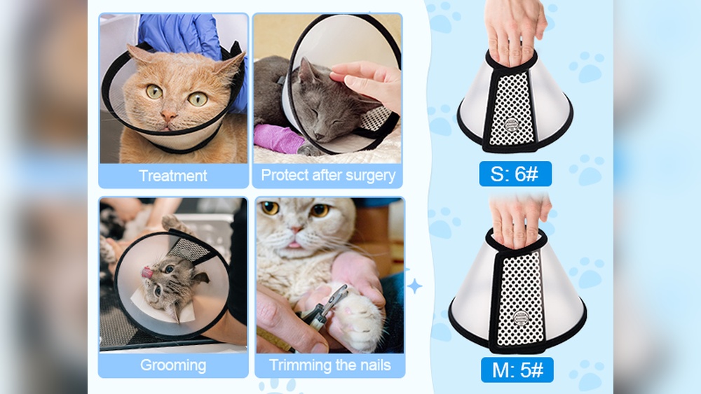 How to Groom Cat With Elizabethian Collar: Expert Tips & Tricks