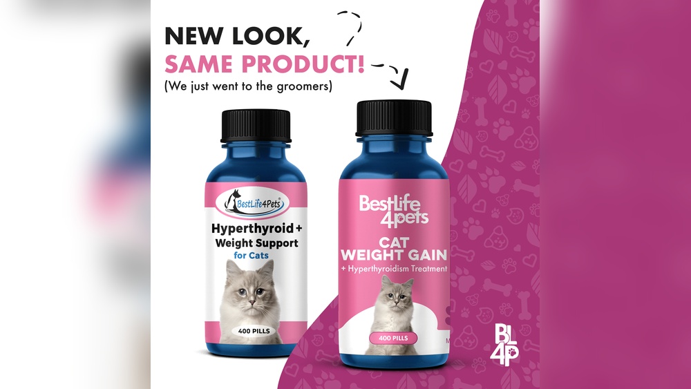 How to Help Cats With Hyperthyroidism And Grooming: Essential Tips