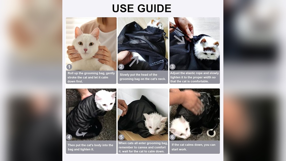 How to Hold down Cat While Grooming: Easy Tips for Stress-Free Care