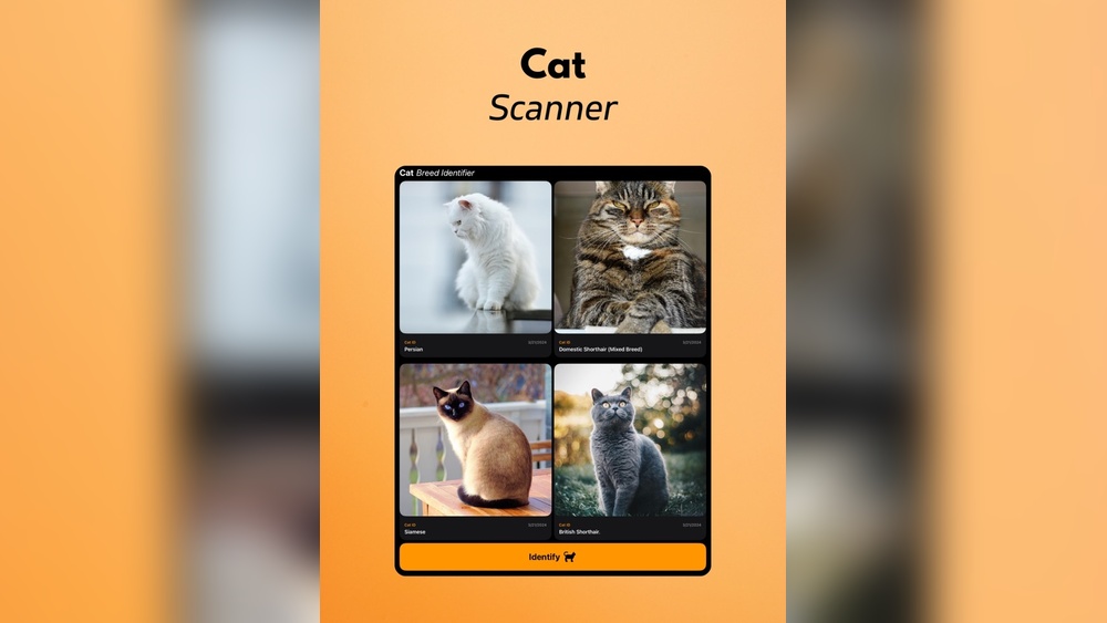 How to Identify Cat Breeds With Pictures: Ultimate Visual Guide