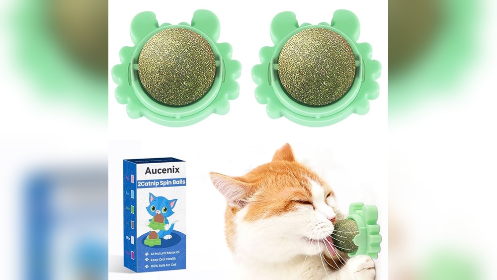 How to Keep Dog from Eating Cat Toys