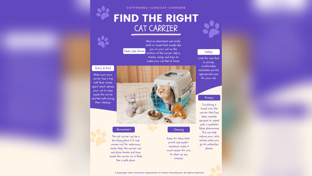 How to Know What Type of Toy Your Cat Likes: Ultimate Guide
