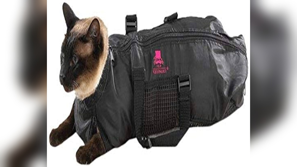 How to Make a Cat Carrier And Grooming Bag: Easy DIY Guide