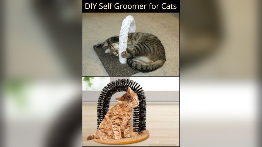 How to Make a Cat Self Groomer: Easy DIY Tips for Happy Cats