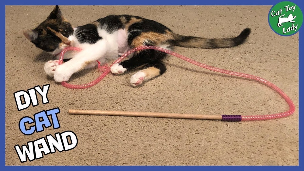 How to Make a Cat Toy on a Stick: Easy DIY Fun for Your Kitty