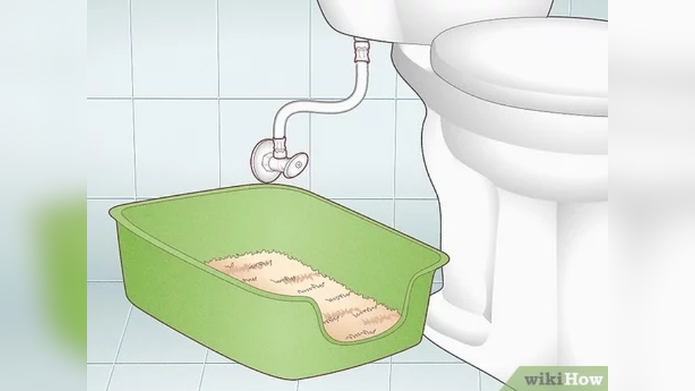 How to Potty Train a Cat Wikihow: Easy Steps for Success