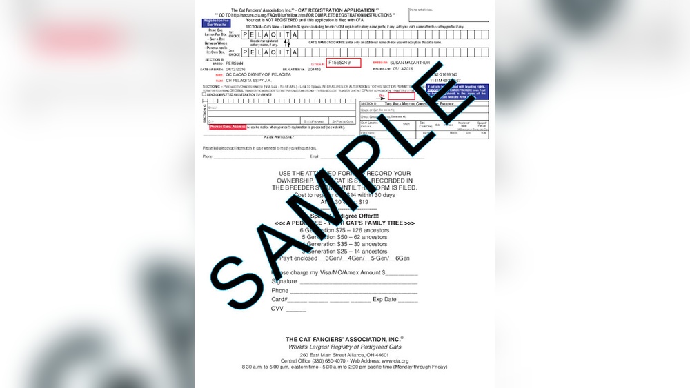 How to Register As a Cat Breeder: Ultimate Step-by-Step Guide