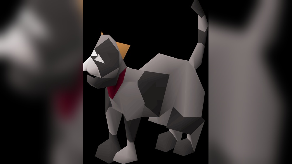 How to Take Care of a Kitten Osrs: Ultimate Guide for Beginners
