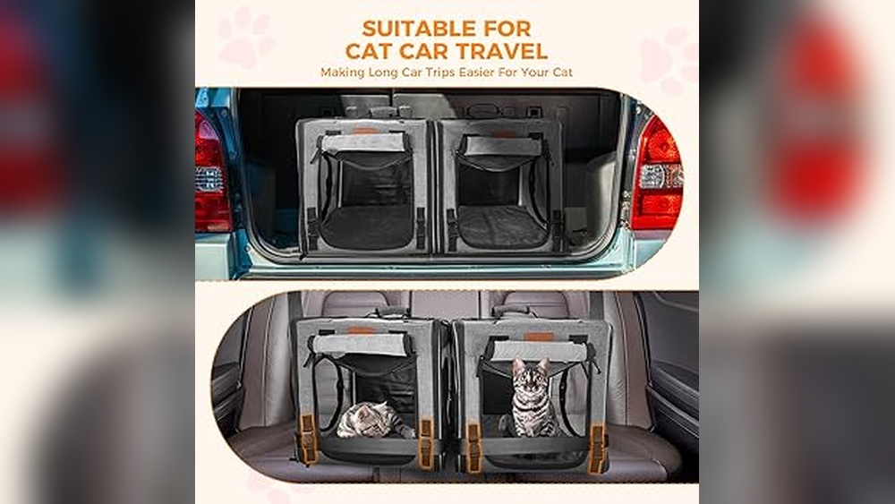 How to Travel by Car With Multiple Cats: Expert Tips for Stress-Free Trips