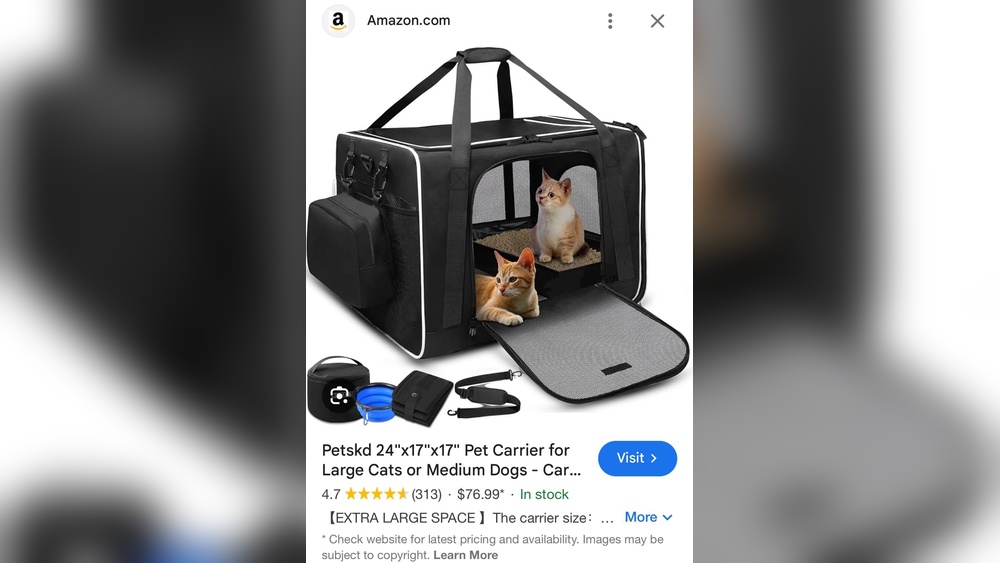 How to Travel With a Cat Long Road Trip: Ultimate Comfort Tips