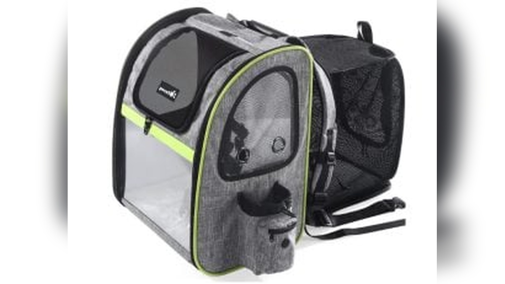 How to Travel With Cat Bus: Ultimate Guide for Stress-Free Journeys