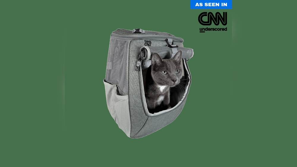 How to Travel With Six Cats: Expert Tips for Stress-Free Trips