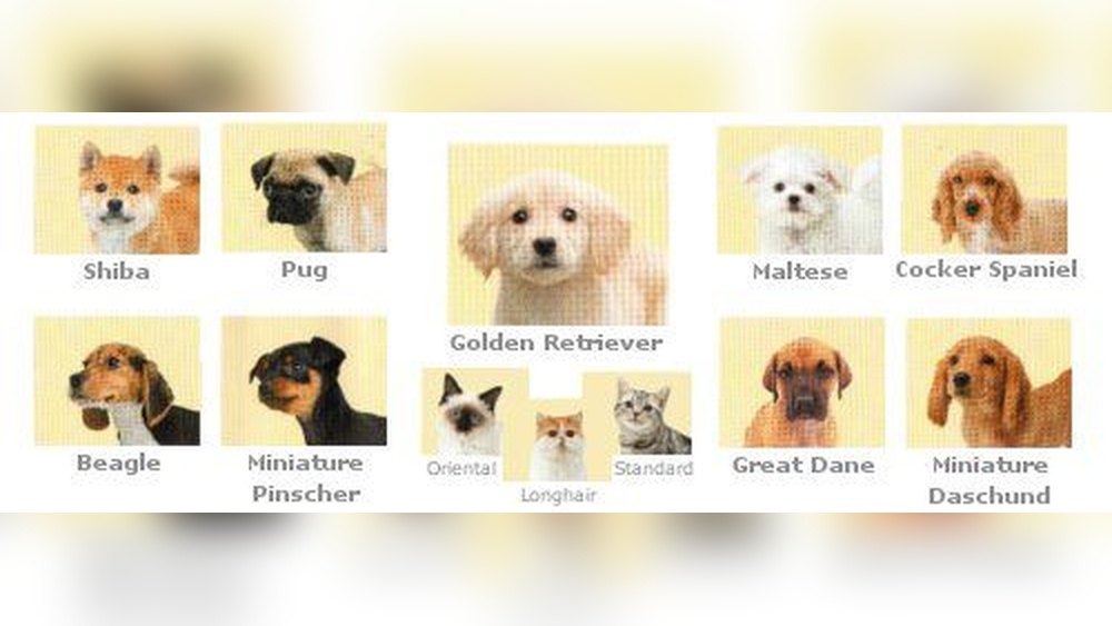 How to Unlock Breeds Nintendogs And Cats
