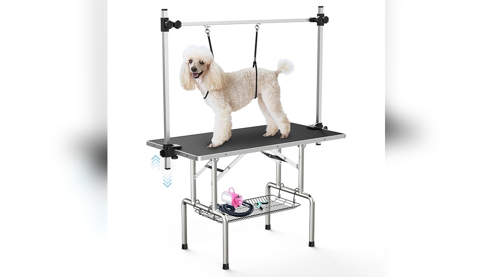 How to Use a Pet Grooming Table for Cats: Expert Tips & Tricks