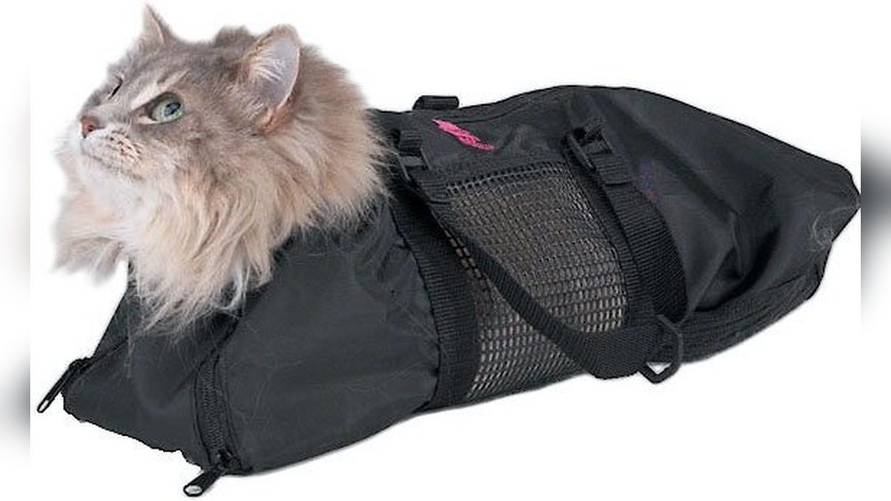 How to Use Cat Grooming Bag: Easy Tips for Stress-Free Grooming